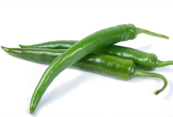 Transplant, Long Indian Chile Pepper