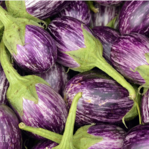 Transplant,  Indian Eggplant