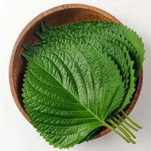 Transplant, Organic Korean Perilla